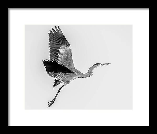 Charcoal - Framed Print