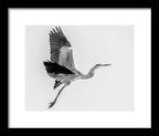 Charcoal - Framed Print