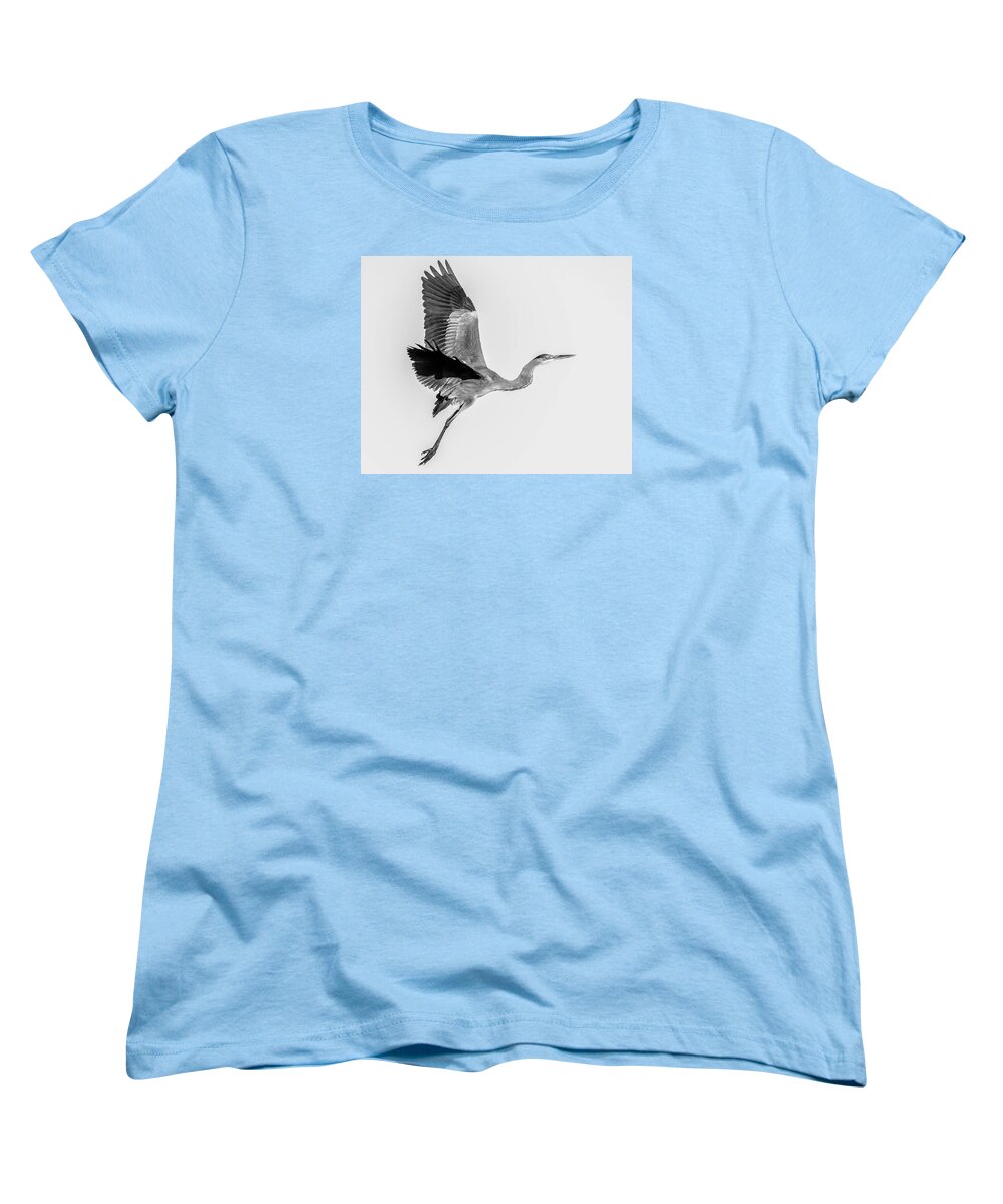 Charcoal - Women's T-Shirt (Standard Fit)