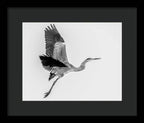 Charcoal - Framed Print