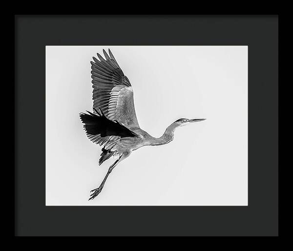 Charcoal - Framed Print