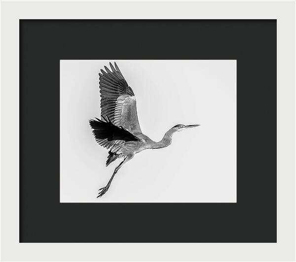 Charcoal - Framed Print