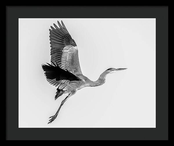 Charcoal - Framed Print