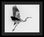 Charcoal - Framed Print