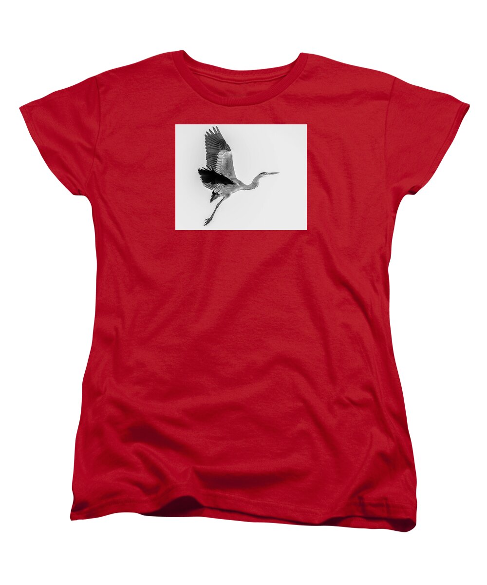 Charcoal - Women's T-Shirt (Standard Fit)
