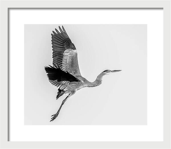 Charcoal - Framed Print