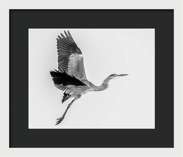 Charcoal - Framed Print