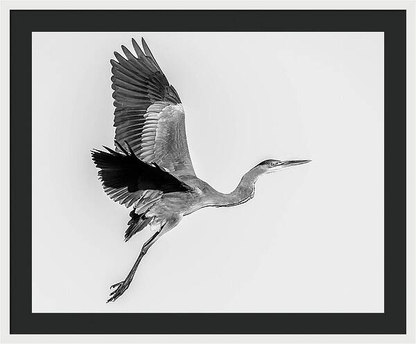 Charcoal - Framed Print