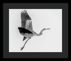 Charcoal - Framed Print