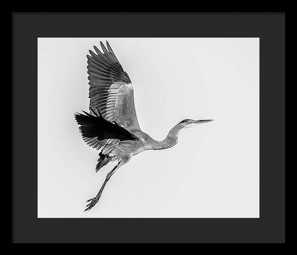 Charcoal - Framed Print