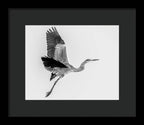 Charcoal - Framed Print