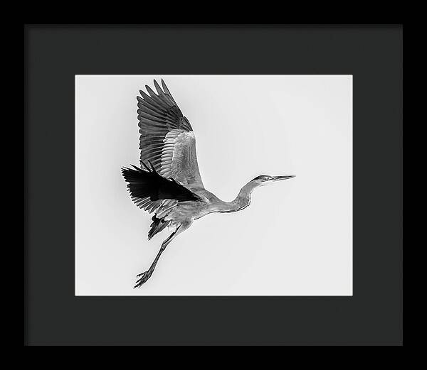 Charcoal - Framed Print
