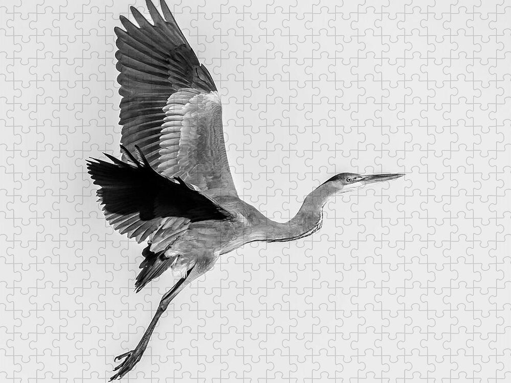 Charcoal - Puzzle