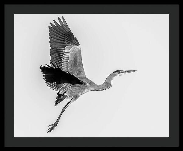 Charcoal - Framed Print