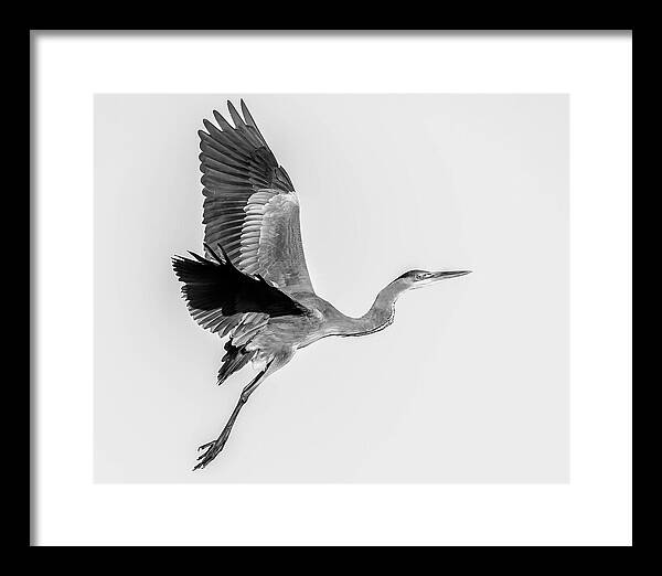Charcoal - Framed Print