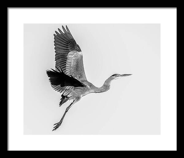 Charcoal - Framed Print