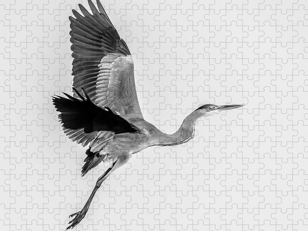 Charcoal - Puzzle