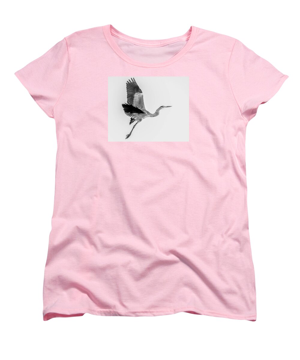 Charcoal - Women's T-Shirt (Standard Fit)