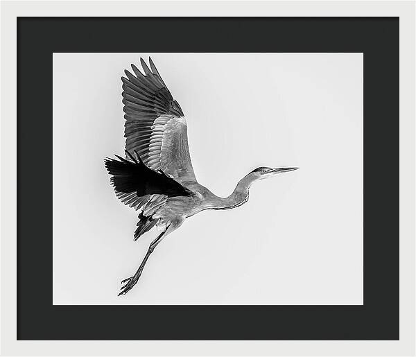 Charcoal - Framed Print