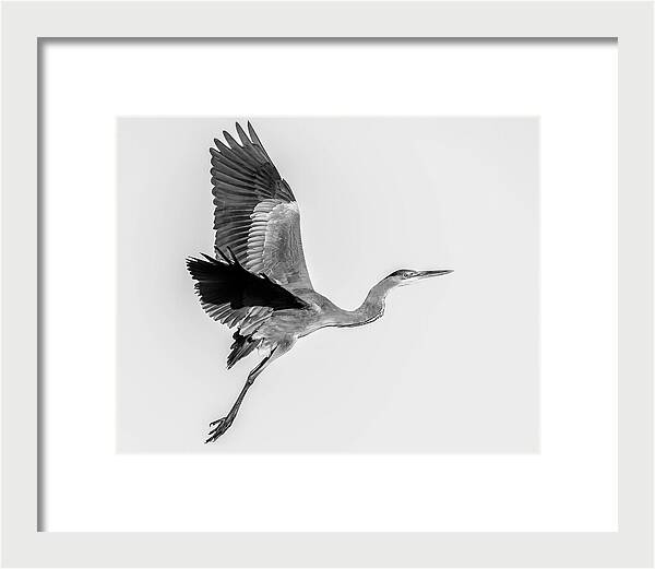 Charcoal - Framed Print