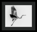Charcoal - Framed Print