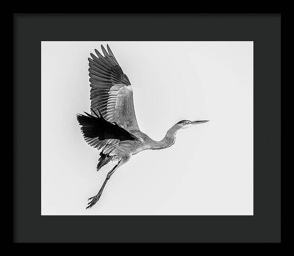 Charcoal - Framed Print