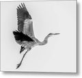 Charcoal - Metal Print
