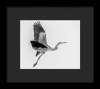 Charcoal - Framed Print