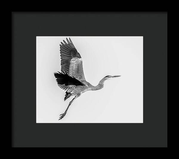 Charcoal - Framed Print