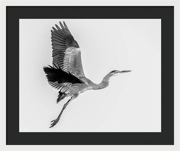 Charcoal - Framed Print