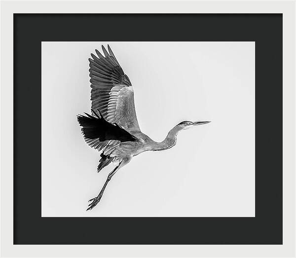 Charcoal - Framed Print