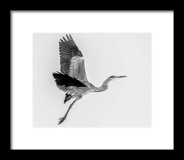 Charcoal - Framed Print