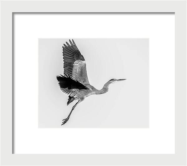 Charcoal - Framed Print