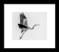 Charcoal - Framed Print