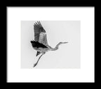Charcoal - Framed Print