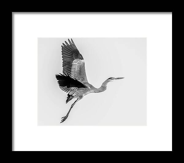 Charcoal - Framed Print
