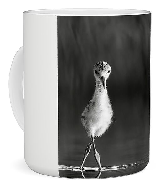 Curious Young Bird Standing in Water - Mug