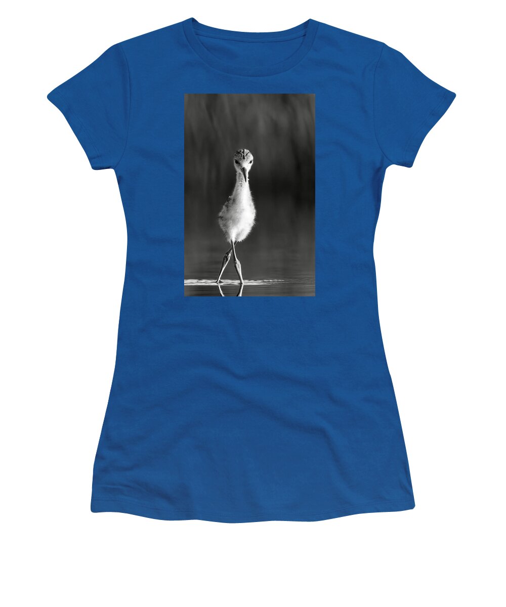 Curious Young Bird Standing in Water - Women's T-Shirt