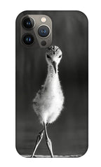 Curious Young Bird Standing in Water - Phone Case