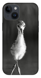 Curious Young Bird Standing in Water - Phone Case