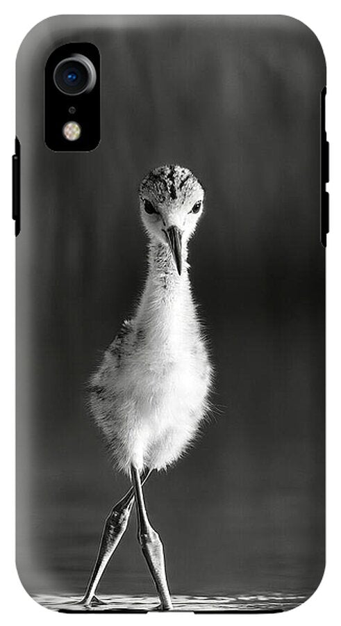 Curious Young Bird Standing in Water - Phone Case