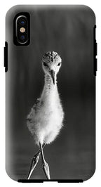 Curious Young Bird Standing in Water - Phone Case
