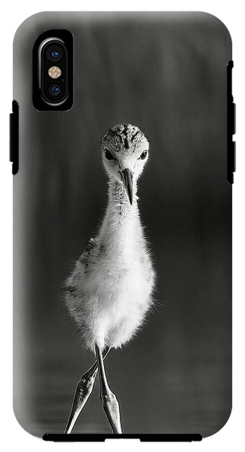 Curious Young Bird Standing in Water - Phone Case