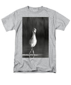 Curious Young Bird Standing in Water - Men's T-Shirt  (Regular Fit)