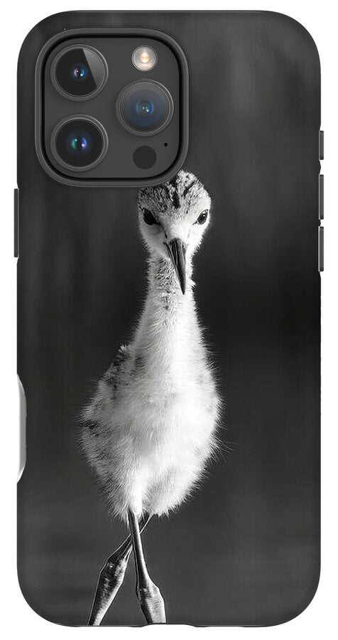 Curious Young Bird Standing in Water - Phone Case