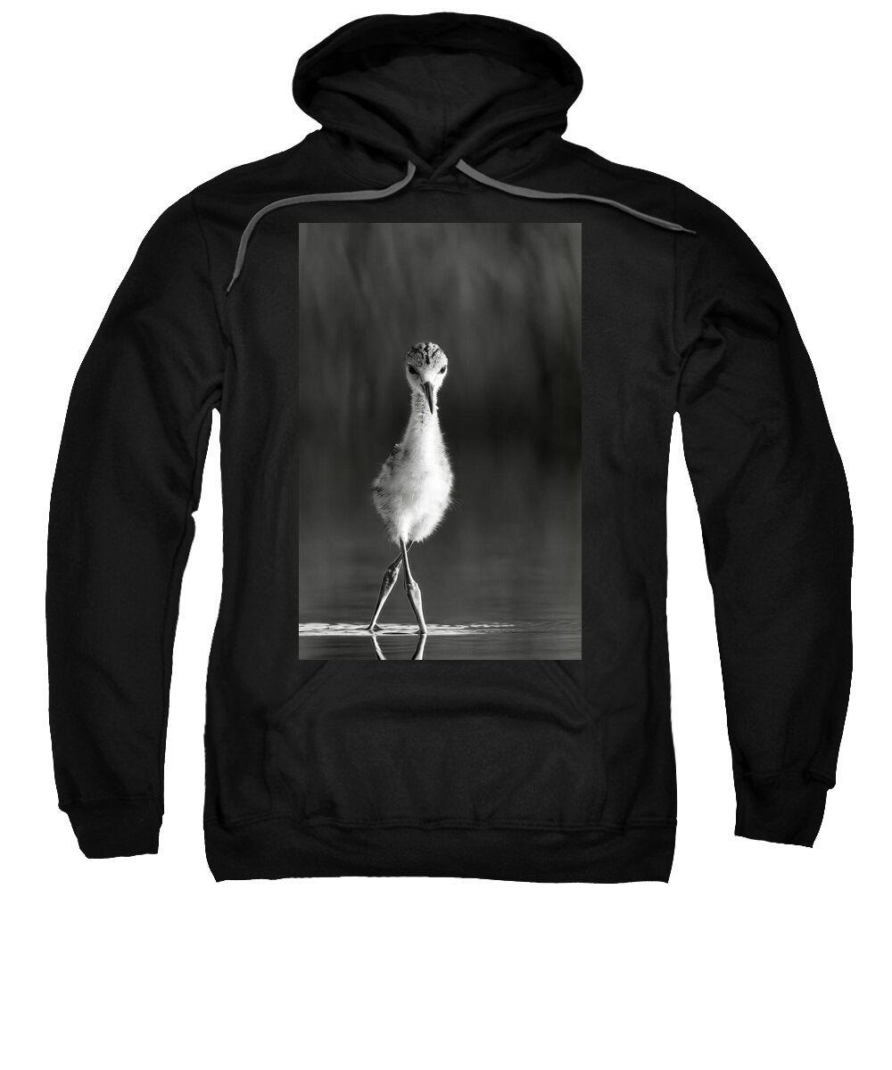 Curious Young Bird Standing in Water - Sweatshirt