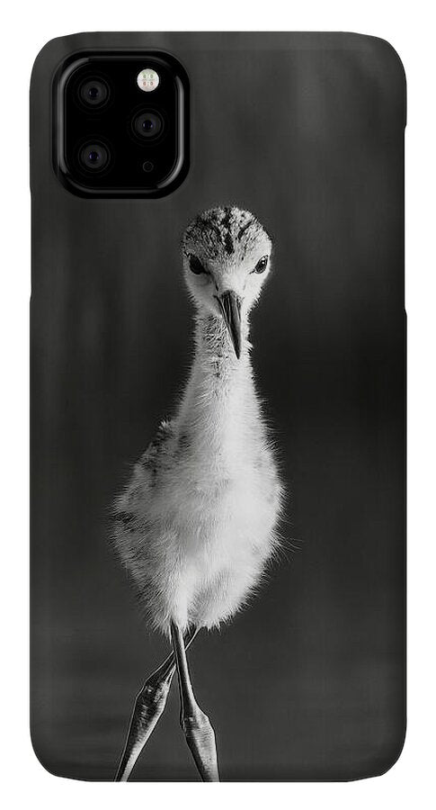 Curious Young Bird Standing in Water - Phone Case