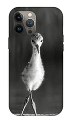 Curious Young Bird Standing in Water - Phone Case
