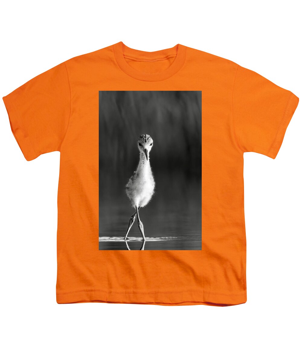 Curious Young Bird Standing in Water - Youth T-Shirt