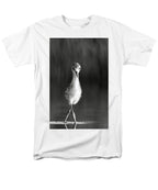 Curious Young Bird Standing in Water - Men's T-Shirt  (Regular Fit)